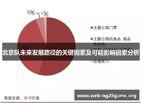 北京队未来发展路径的关键因素及可能影响因素分析
