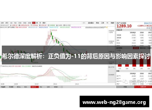 希尔德深度解析：正负值为-11的背后原因与影响因素探讨