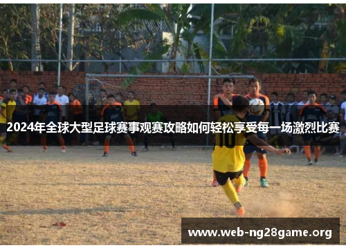 2024年全球大型足球赛事观赛攻略如何轻松享受每一场激烈比赛